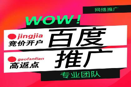 搜索引擎优化（SEO）在百度上的应用案例研究